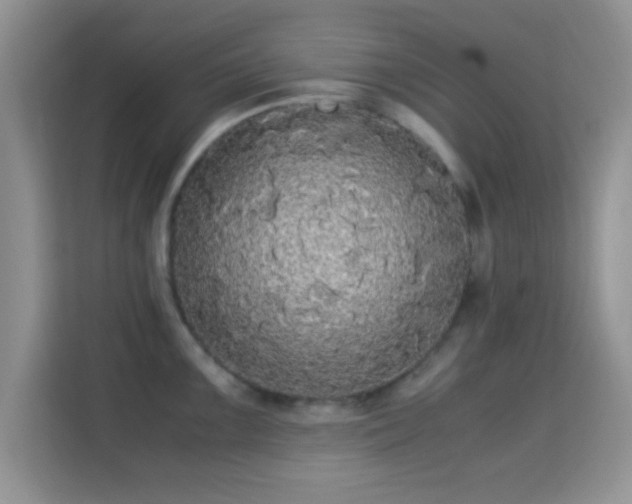 X0000115341099200911091300