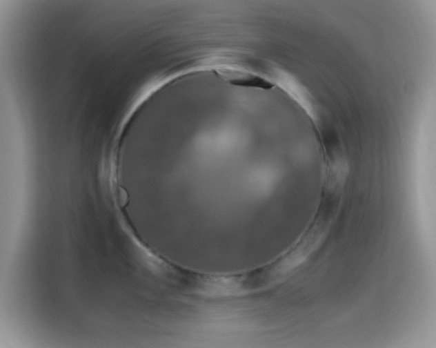 X0000115341101200911091300