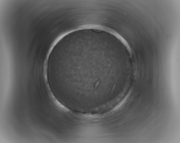 X0000115341102200911091300