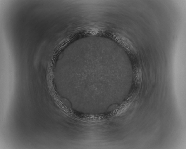 X0000115341105200911091259
