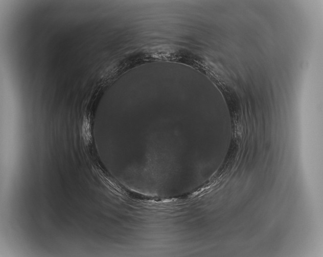 X0000115341106200911091259