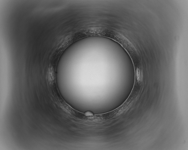 X0000115341107200911091259