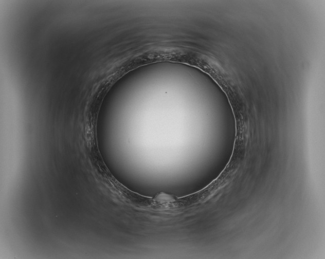X0000115341109200911091259