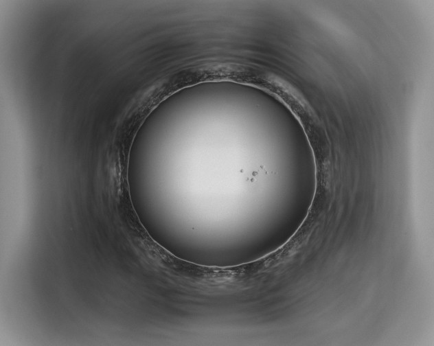 X0000115341111200911091259