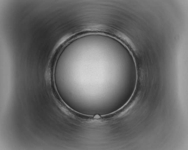 X0000115341114200911091259