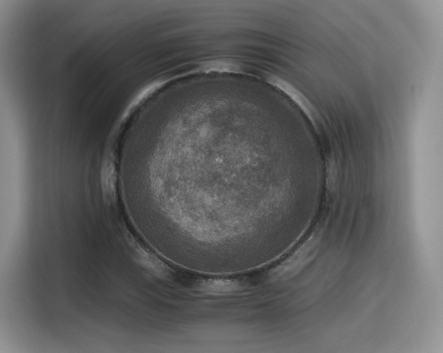 X0000115341115200911091259
