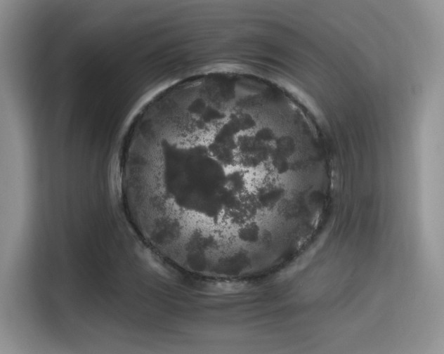 X0000115341117200911091259