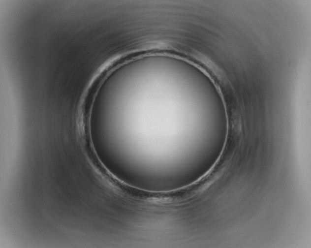 X0000115341118200911091259