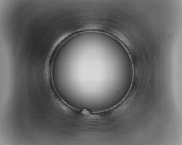 X0000115341119200911091259