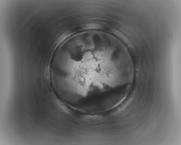 X0000115341121200911091259