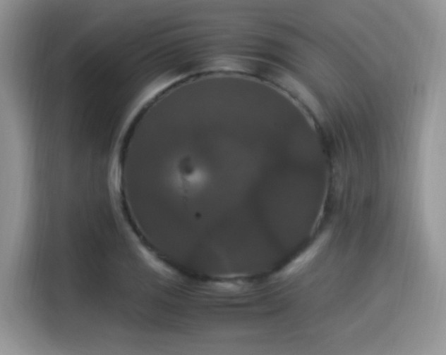 X0000115341125200911091300