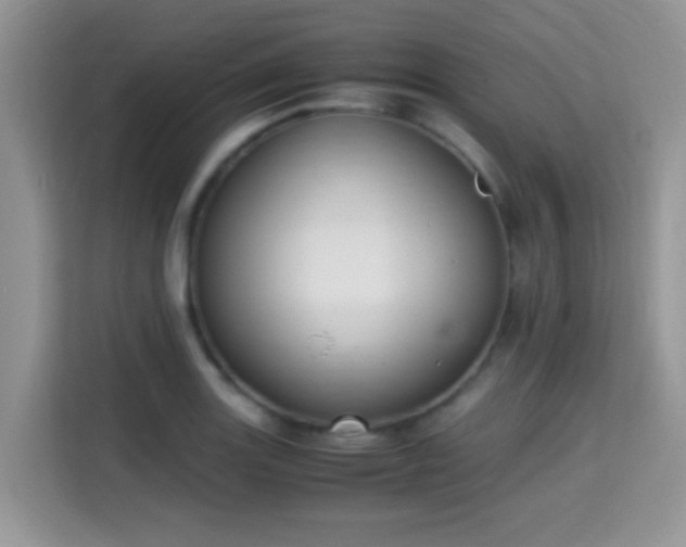 X0000115341131200911091300