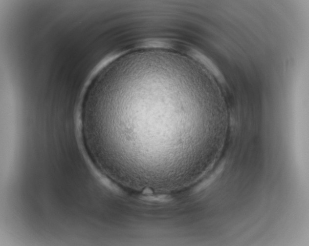 X0000115341133200911091300