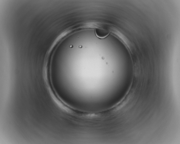 X0000115341139200911091300