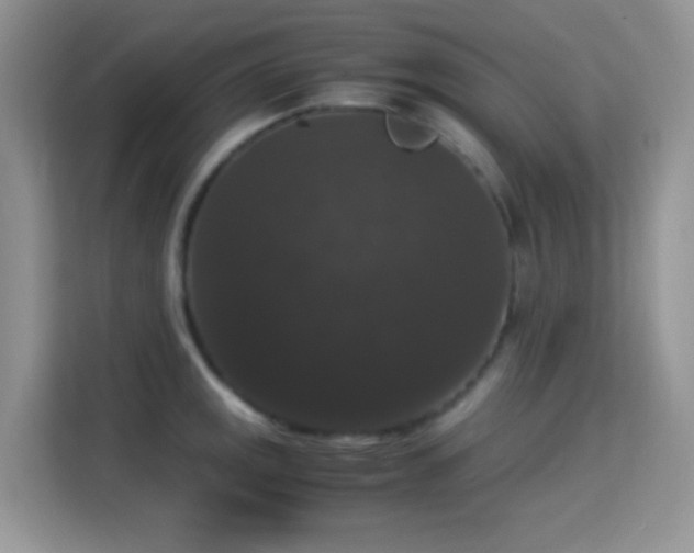 X0000115341141200911091300