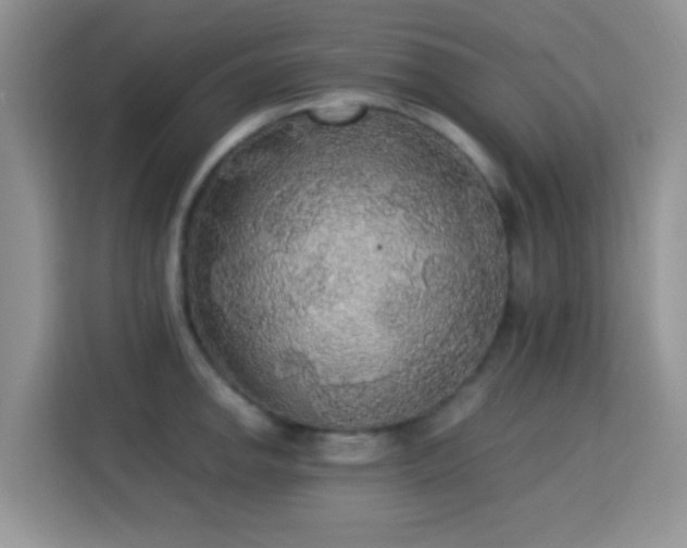 X0000115341142200911091300