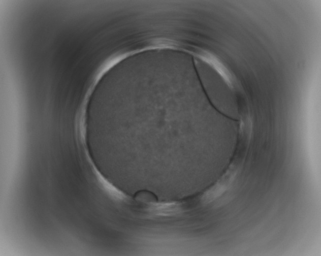 X0000115341143200911091300