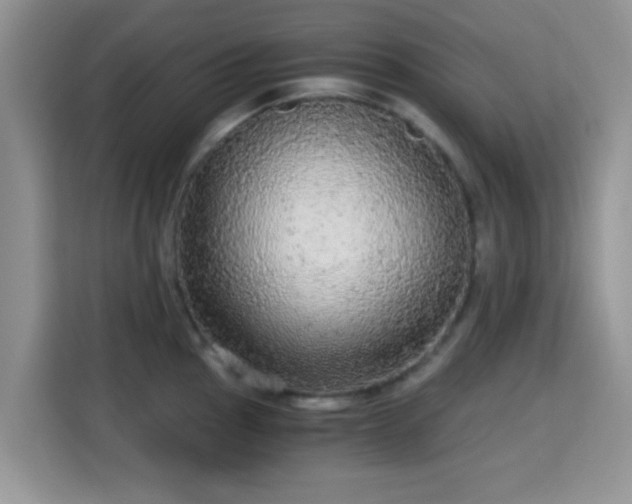 X0000115341145200911091300
