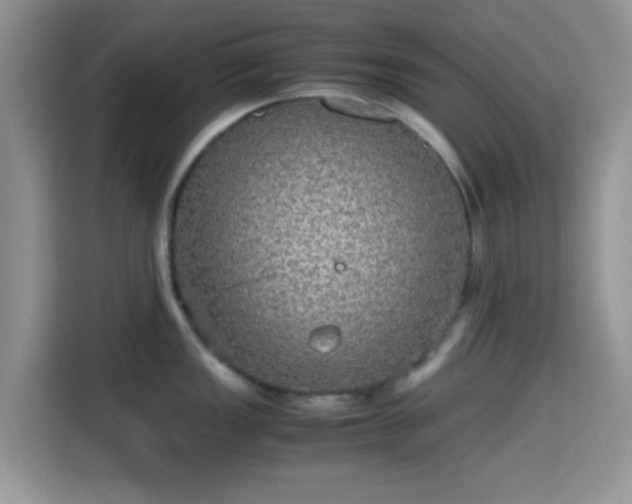 X0000115341149200911091300