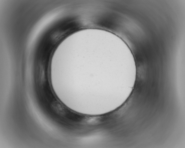 X0000115341150200911091300