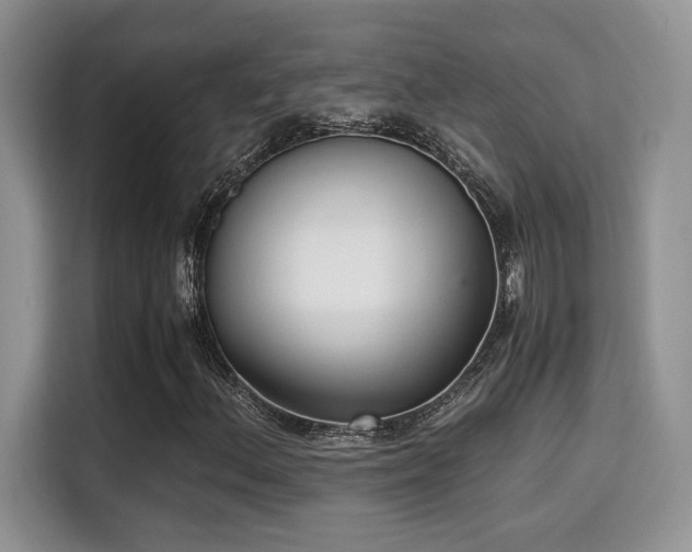 X0000115341156200911091259