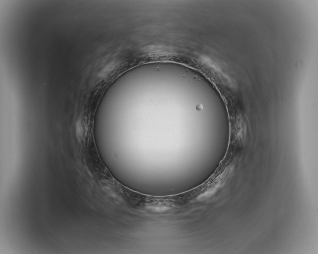 X0000115341157200911091259