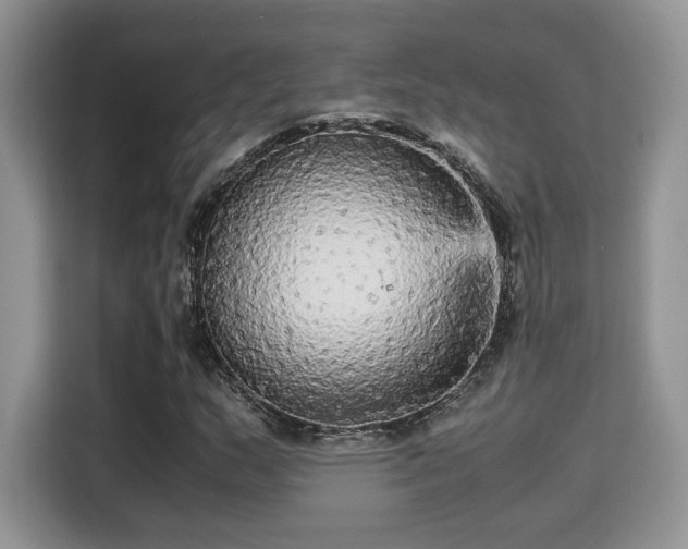 X0000115341159200911091259