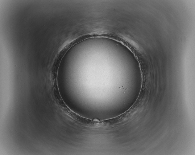 X0000115341160200911091259