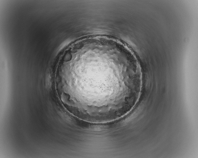 X0000115341163200911091259