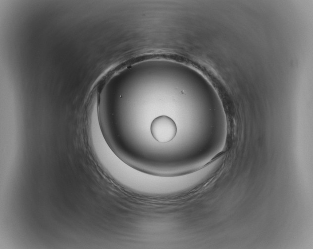 X0000115341165200911091259