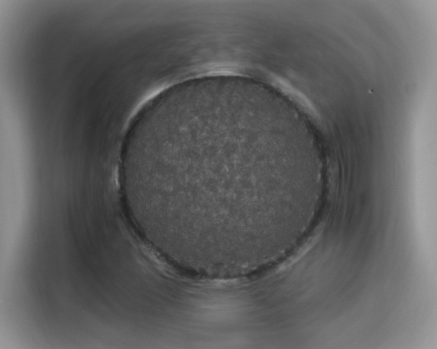 X0000115341166200911091259