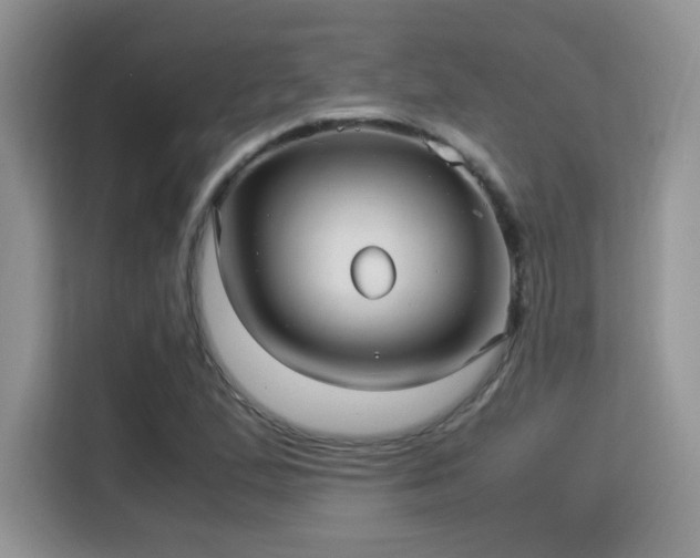 X0000115341167200911091259