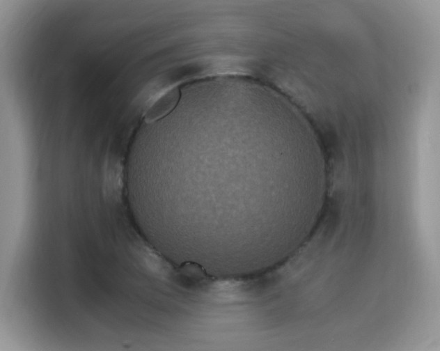 X0000115341169200911091259