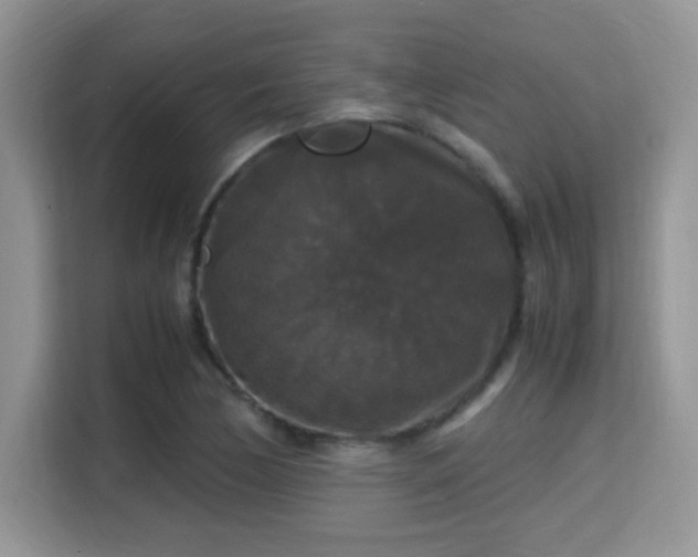 X0000115341170200911091259