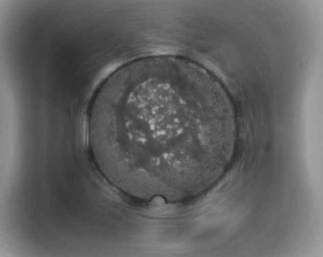 X0000115341171200911091259