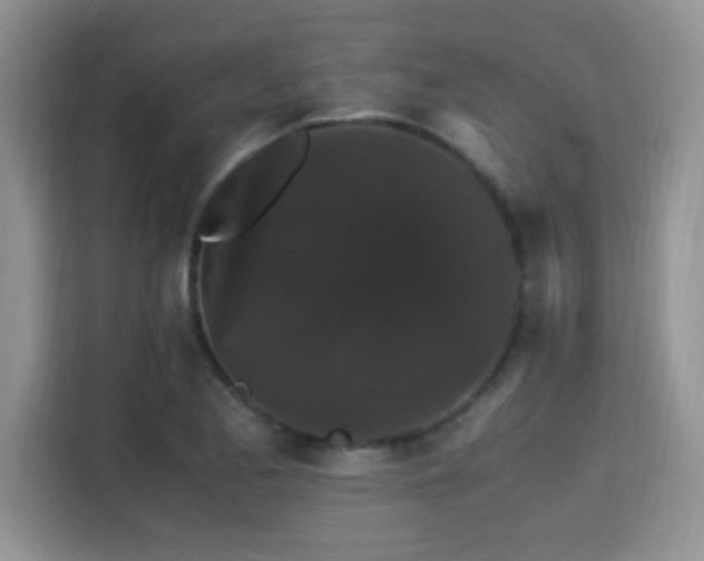 X0000115341173200911091259