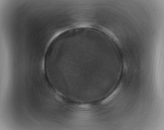 X0000115341174200911091259