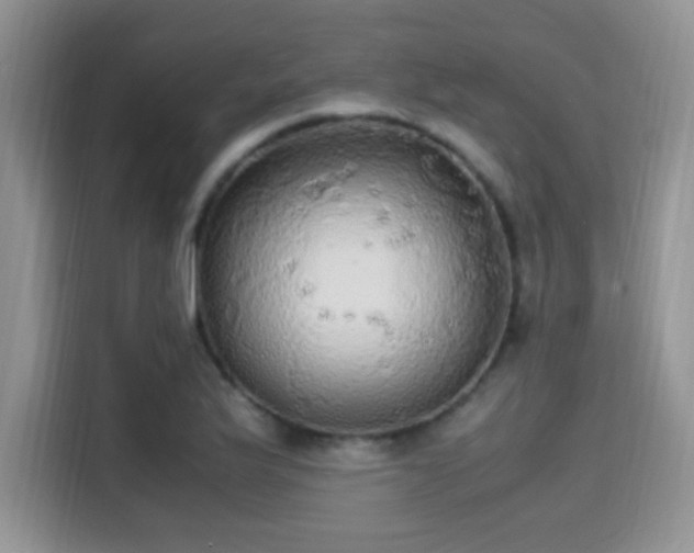 X0000115341175200911091259
