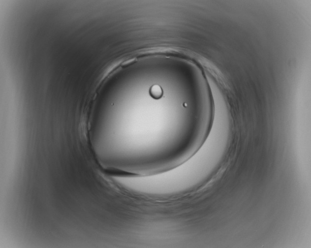 X0000115341177200911091259