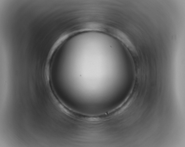 X0000115341180200911091259