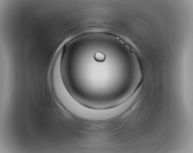 X0000115341181200911091259
