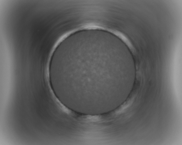 X0000115341191200911091259