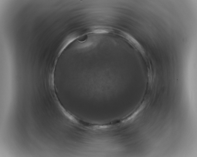 X0000115341194200911091259