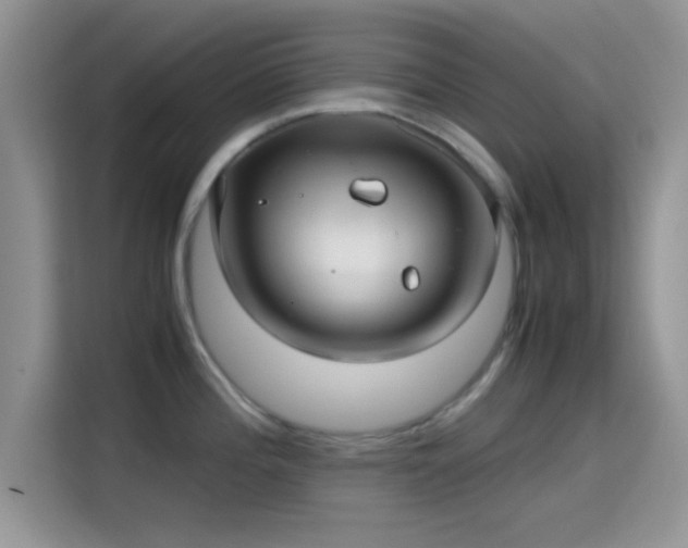 X0000115341196200911091259