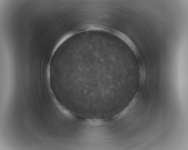 X0000115341198200911091259