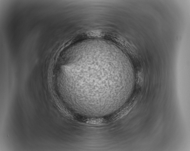 X0000115341201200911091258