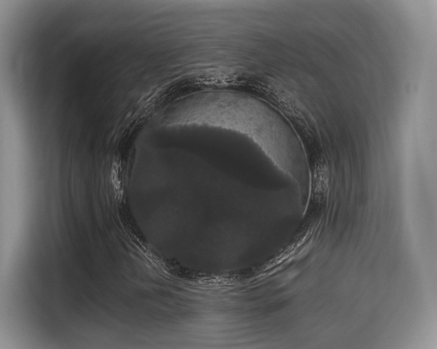 X0000115341202200911091258