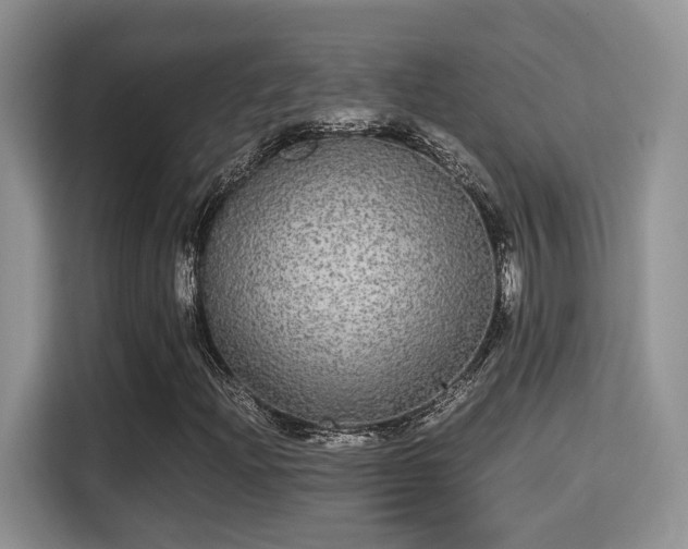 X0000115341204200911091258