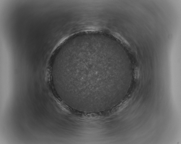 X0000115341208200911091258