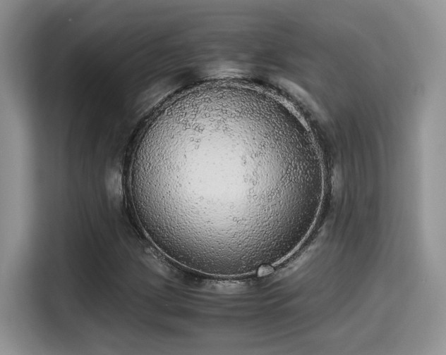 X0000115341209200911091258